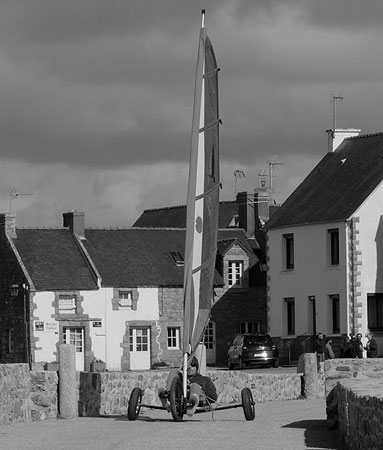 Strandsegler Seagull Silence